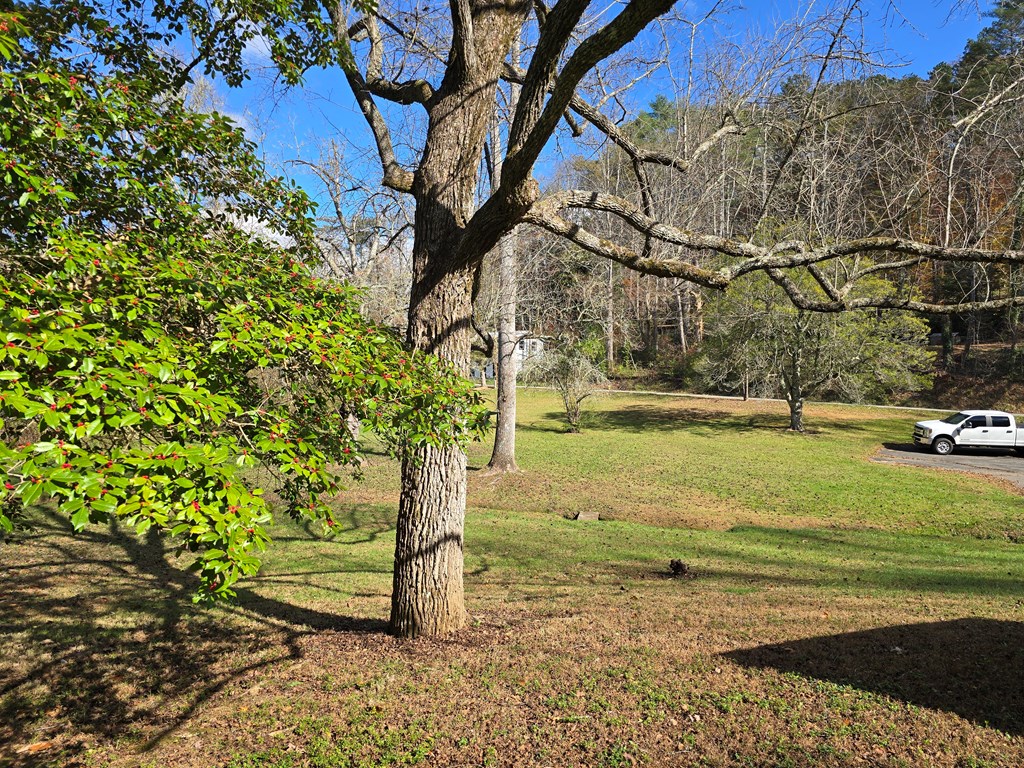 1556 Pleasant Valley Road Murphy, NC 28906 - Photo 5 of 51