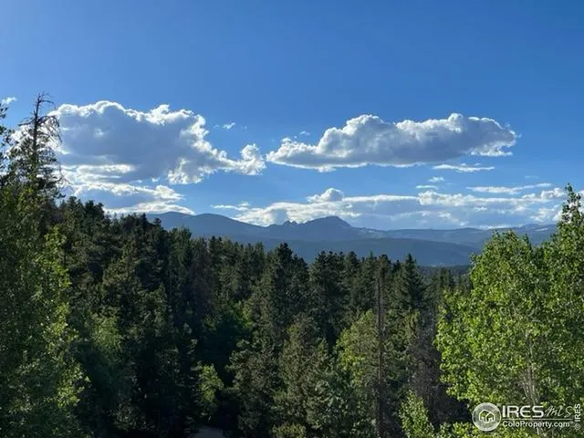 $750,000 | 8 Valleyview Drive, Nederland, CO 80466