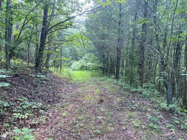 $225,000 | 0 Sinks (103 Acres) Road, Blackwater, VA 24221