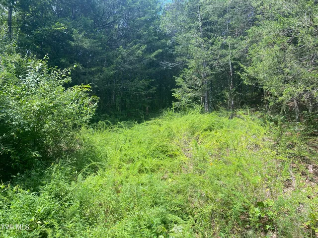 $225,000 | 0 Sinks (103 Acres) Road, Blackwater, VA 24221