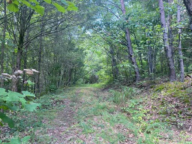 $225,000 | 0 Sinks (103 Acres) Road, Blackwater, VA 24221