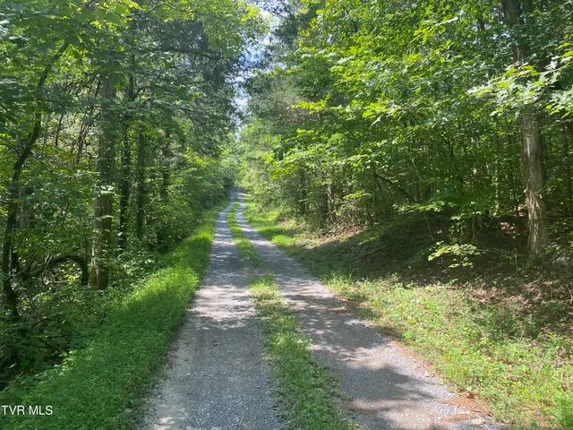 $225,000 | 0 Sinks (103 Acres) Road, Blackwater, VA 24221