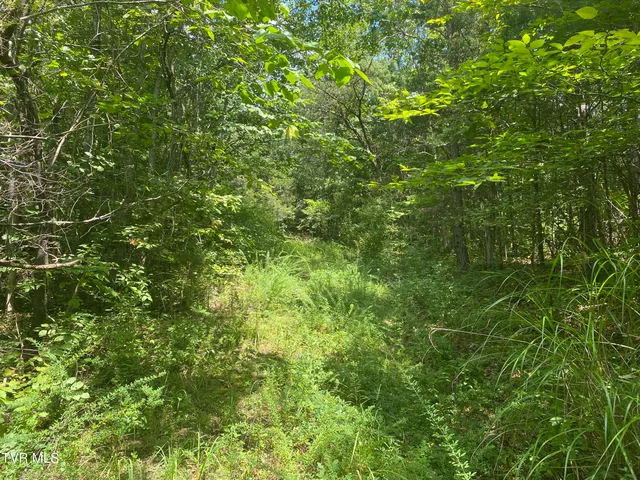 $225,000 | 0 Sinks (103 Acres) Road, Blackwater, VA 24221