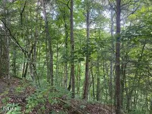 $225,000 | 0 Sinks (103 Acres) Road, Blackwater, VA 24221