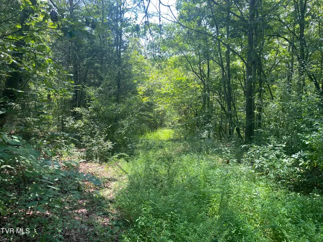 $225,000 | 0 Sinks (103 Acres) Road, Blackwater, VA 24221
