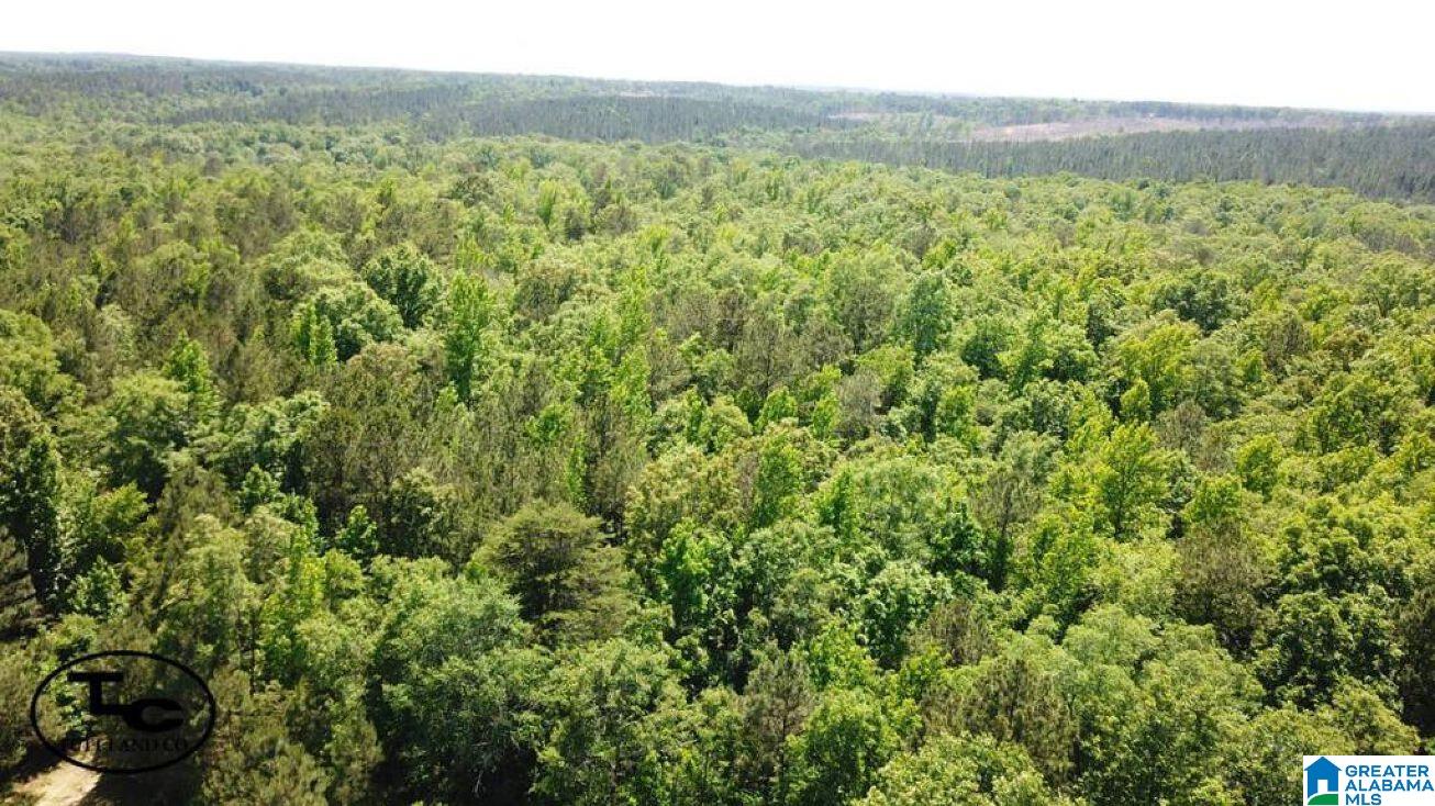 0 County Road 494 Verbena, AL 36091 - Photo 1 of 1