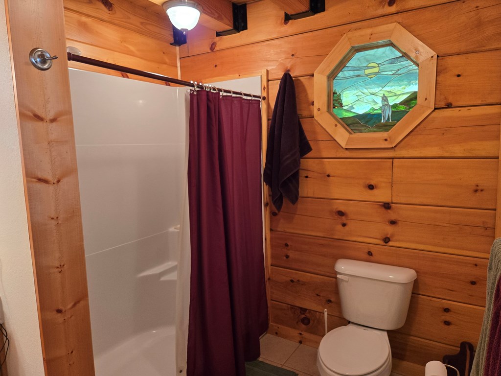 586 Laurel Haven Road Hayesville, NC 28904 - Photo 14 of 34 a bathroom with a toilet and a shower