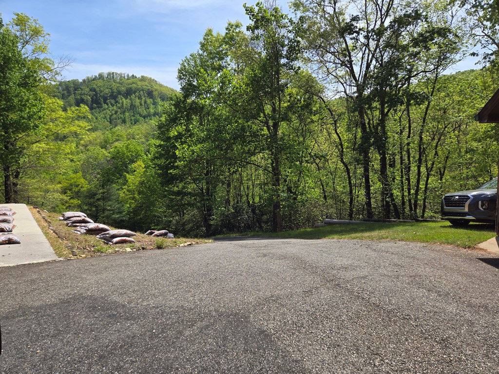 586 Laurel Haven Road Hayesville, NC 28904 - Photo 3 of 34 a view of outdoor space with deck and yard