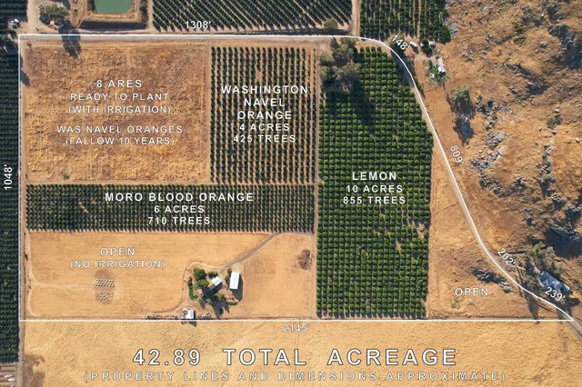 a view of a wooden door