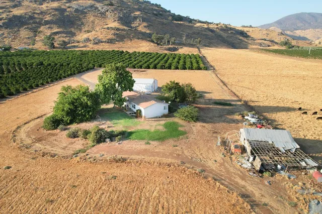 a view of a big yard with a tree