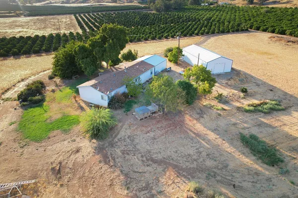 a view of a yard