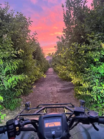 $999,000 | 3363 South Anchor Avenue, Orange Cove, CA 93646