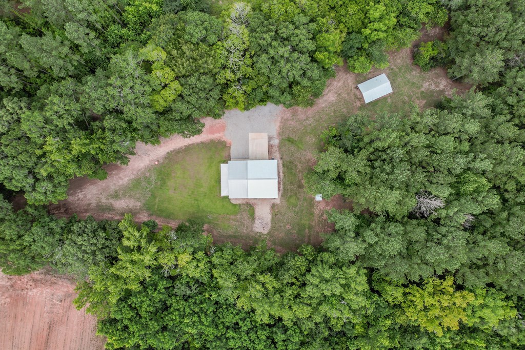 401 Macedonia Road Hartford, AL 36344 - Photo 16 of 61
