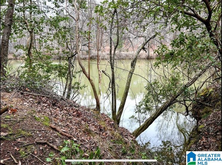 North Hagler Road, Unit 1 Northport, AL 35475 - Photo 8 of 12