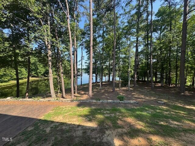 424 Roy Carver Road Semora, NC 27343 - Photo 8 of 68 a view of outdoor space with trees