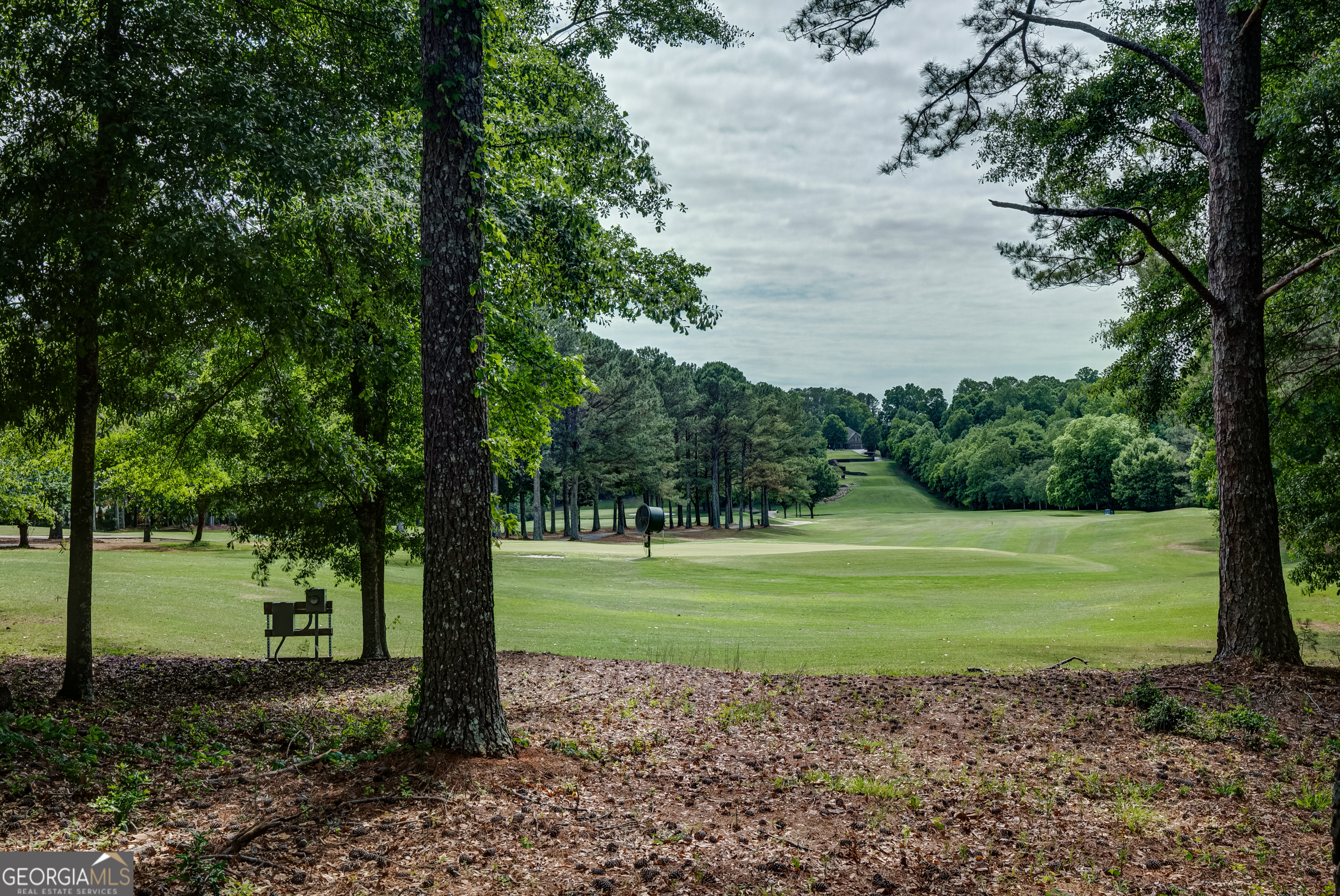 37 Forest Point Newnan, GA 30265 - Photo 50 of 53