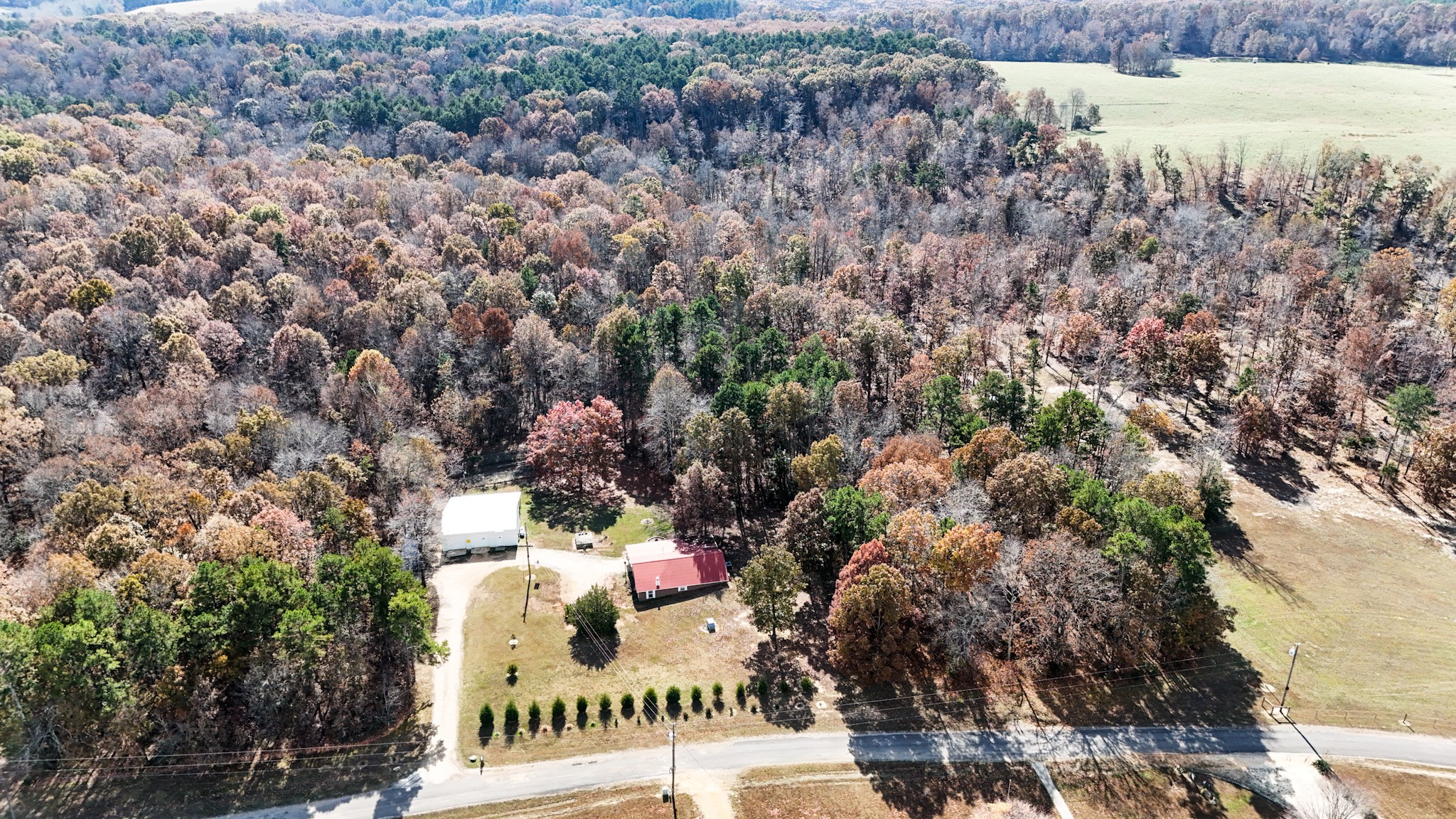 1286 David Patterson Road Lutts, TN 38471 - Photo 2 of 47 a view of a outdoor space