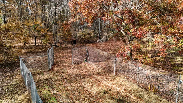 a view of a yard with a tree