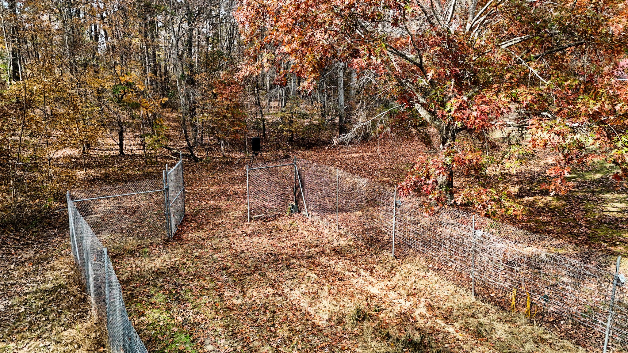 1286 David Patterson Road Lutts, TN 38471 - Photo 23 of 47 a view of a yard with a tree