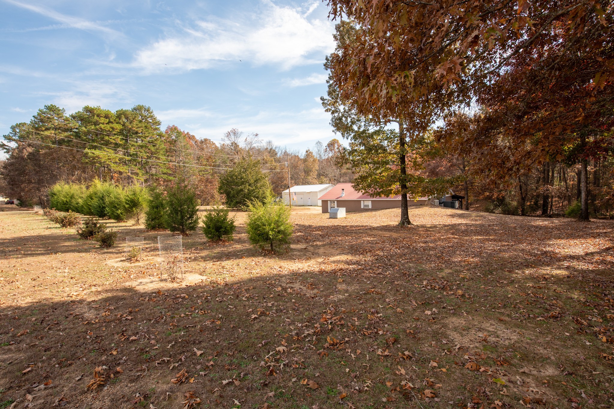 1286 David Patterson Road Lutts, TN 38471 - Photo 25 of 47 a view of a road with a building in the background