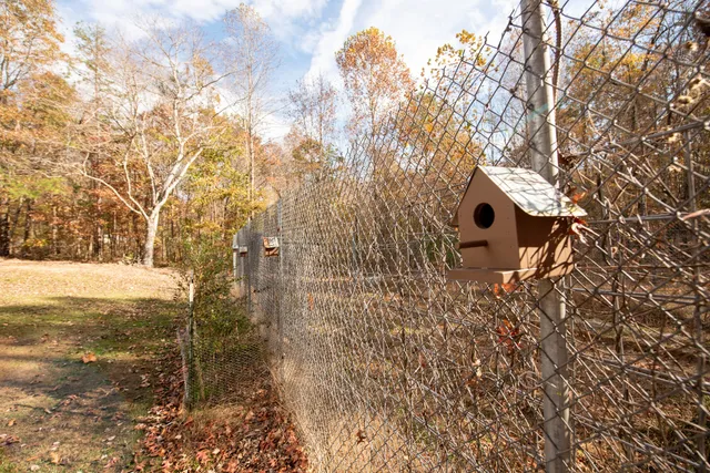 a view of a swimming pool with a yard