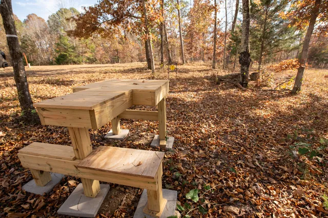 a view of a large yard with lots of trees