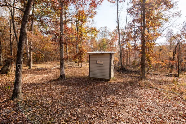 a view of space with trees
