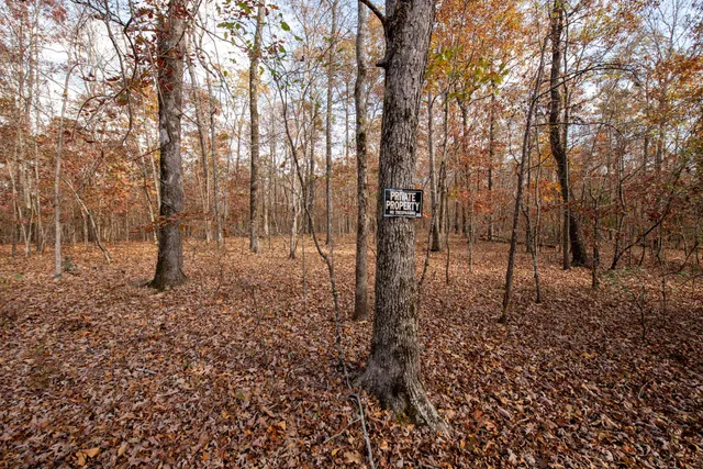 a view of a water pond
