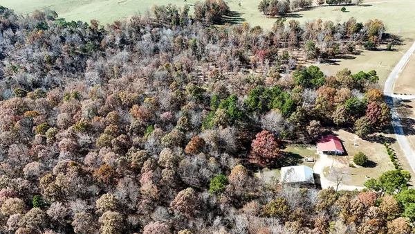 a view of a dry yard with lots of bushes