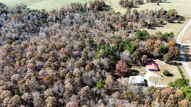 a view of a dry yard with lots of bushes