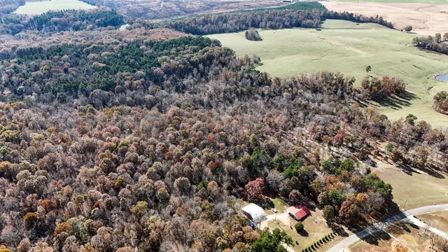 a view of a yard with wooden fence