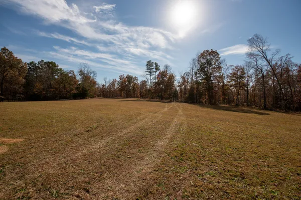 a view of a field with an trees in the background