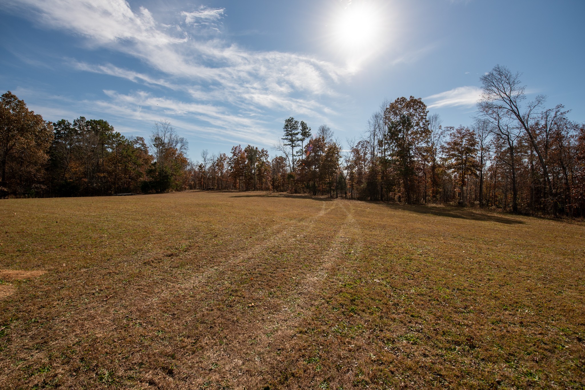 1286 David Patterson Road Lutts, TN 38471 - Photo 4 of 47 a view of a field with an trees in the background