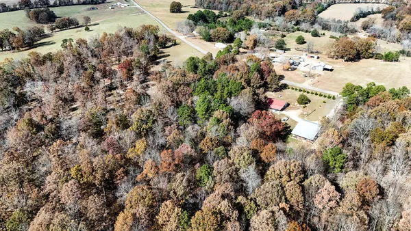 a view of a yard with a mountain