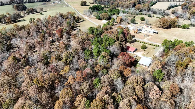 a view of a yard with a mountain