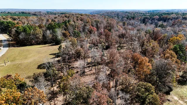 a view of lake and green space