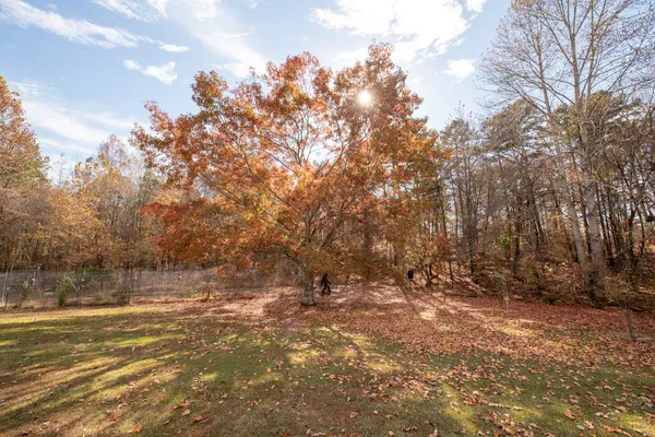 a view of a field with trees in the background
