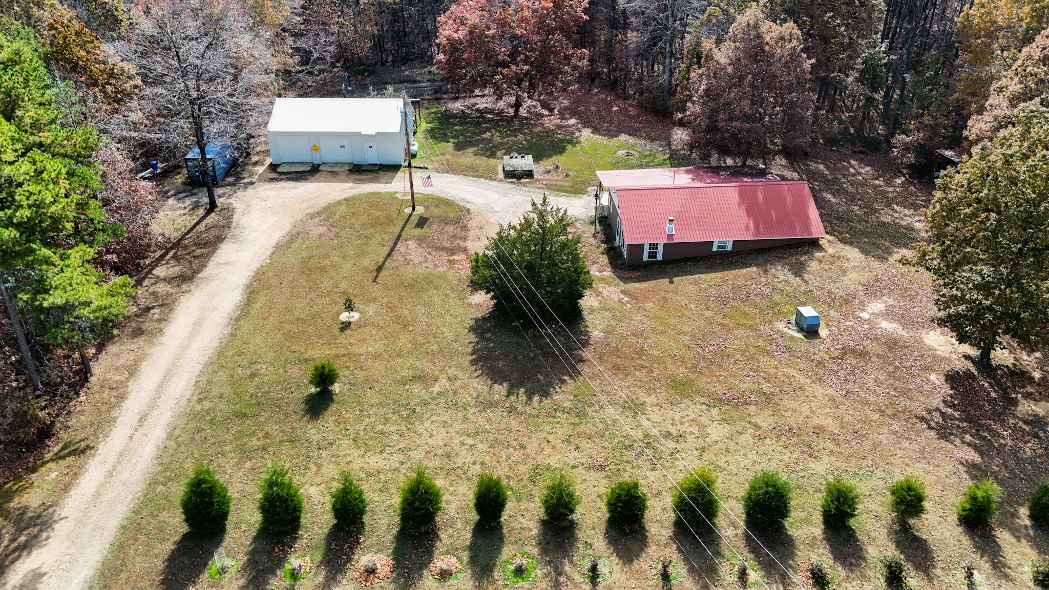 1286 David Patterson Road Lutts, TN 38471 - Photo 8 of 47 a view of a yard with table and chairs