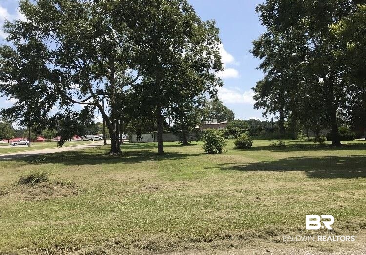 0 Rotch Boulevard Brewton, AL 36426 - Photo 3 of 5
