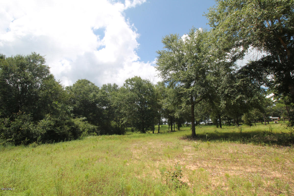 3910 McInnis Vernal Road Lucedale, MS 39452 - Photo 54 of 62 LAND