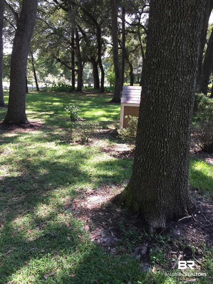 14335 County Road 65 Foley, AL 36535 - Photo 6 of 32