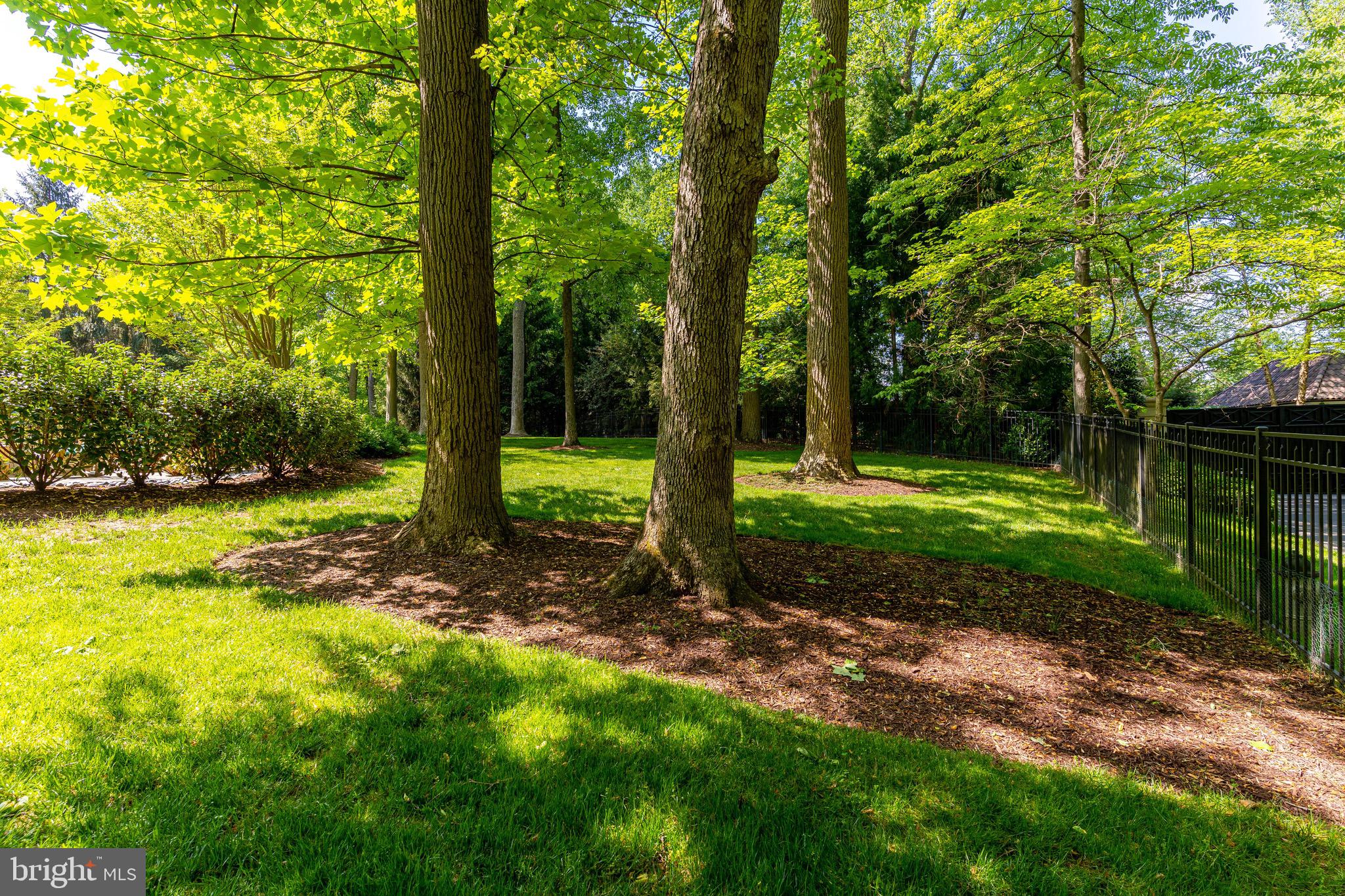 9901 River View Court Potomac, MD 20854 - Photo 52 of 54 Flat usable backyard