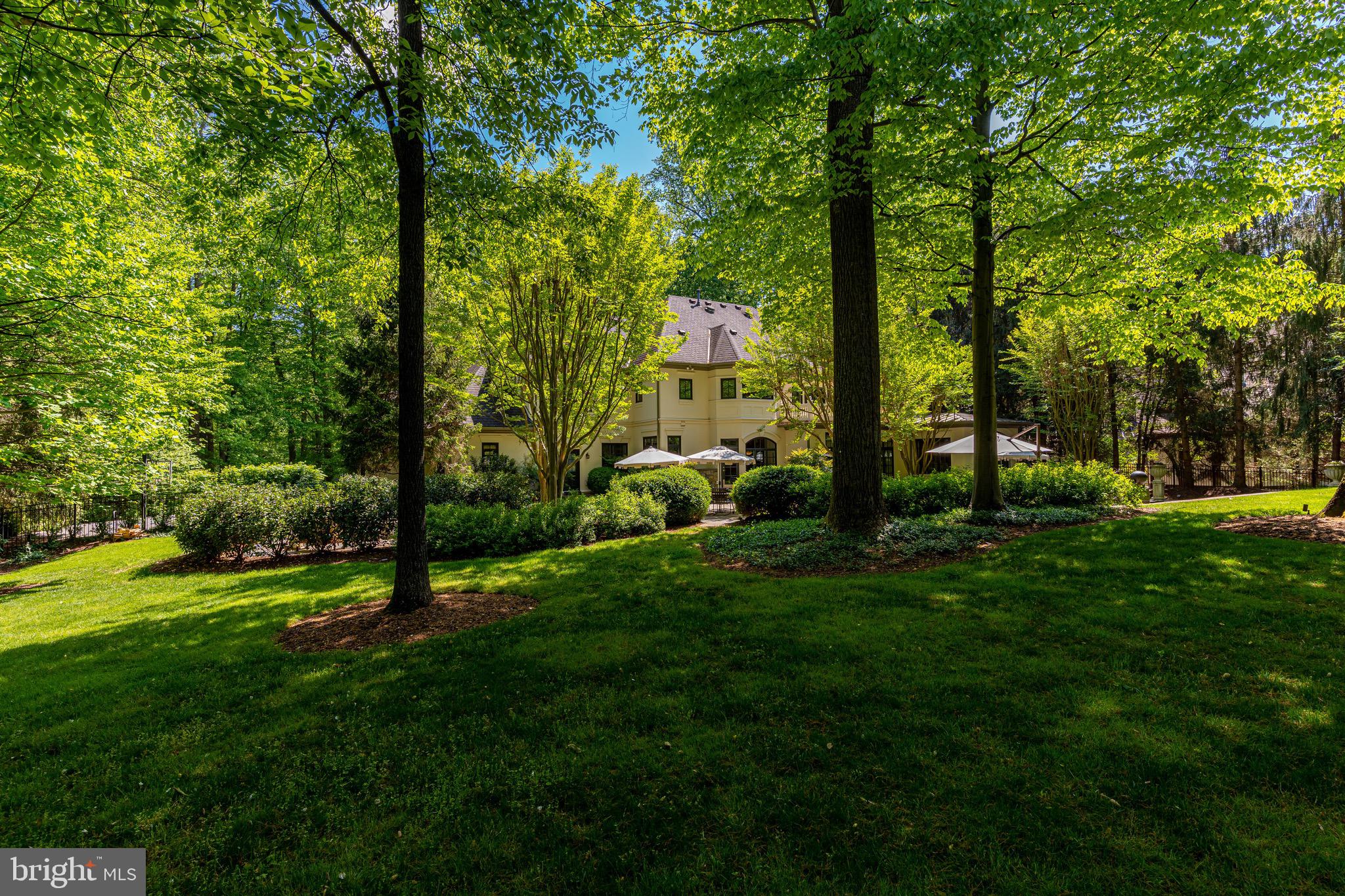 9901 River View Court Potomac, MD 20854 - Photo 53 of 54 Backyard