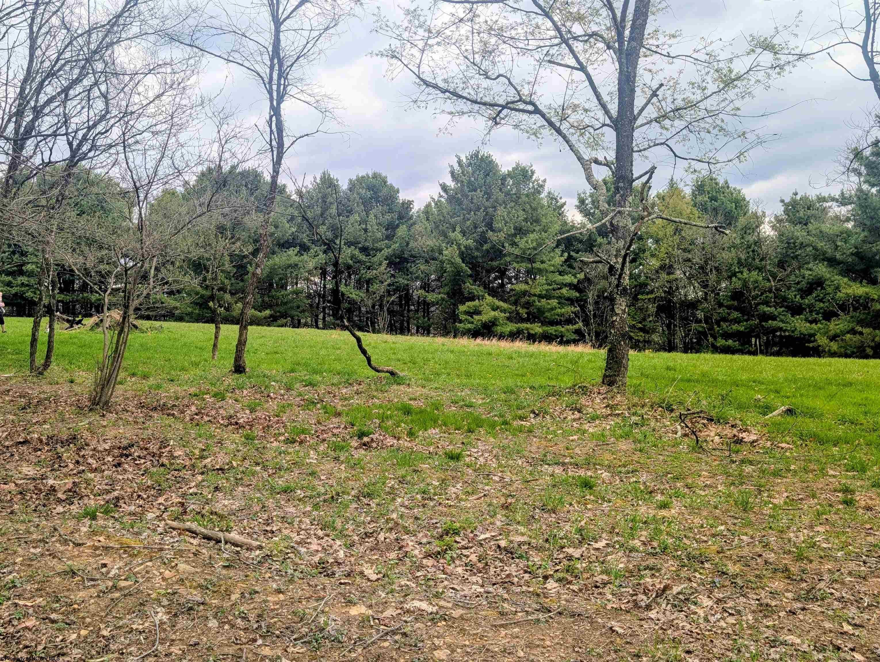 Lot 13 Sand Bank Road Morgantown, WV 26508 - Photo 12 of 13 Gallery Image 12