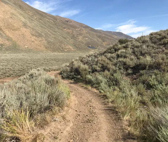 $197,500 | 401 Rosewood Drive, Bellevue, ID 83313