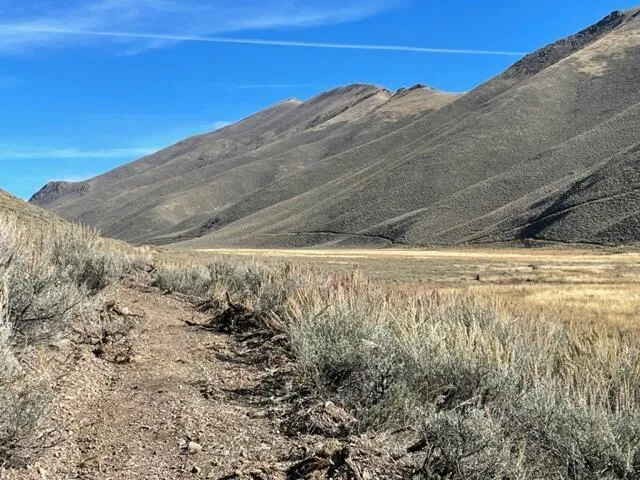 $197,500 | 401 Rosewood Drive, Bellevue, ID 83313