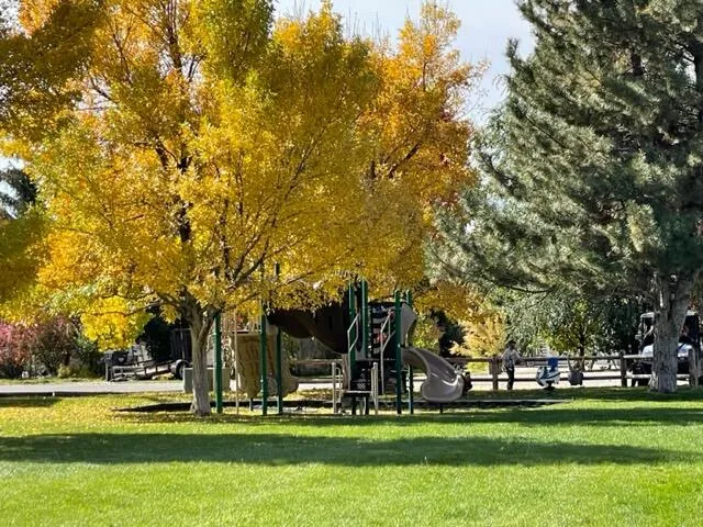 $197,500 | 401 Rosewood Drive, Bellevue, ID 83313