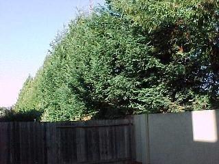 7450 Madera Place Rohnert Park, CA 94928 - Photo 2 of 11 Gallery Image 2