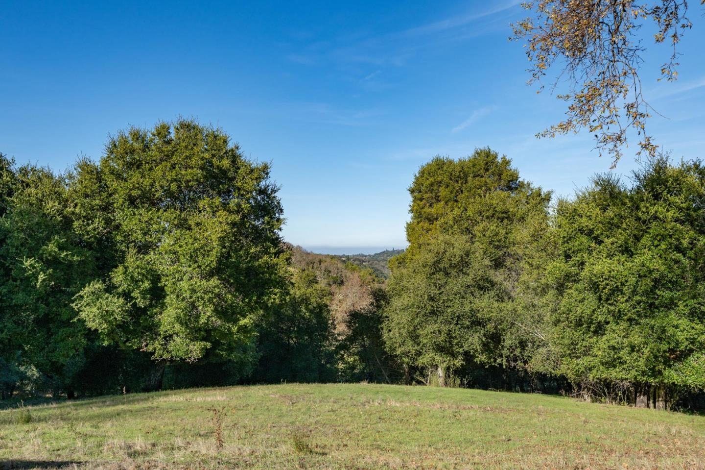 1036 Los Trancos Road Portola Valley, CA 94028 - Photo 22 of 33 a view of a yard