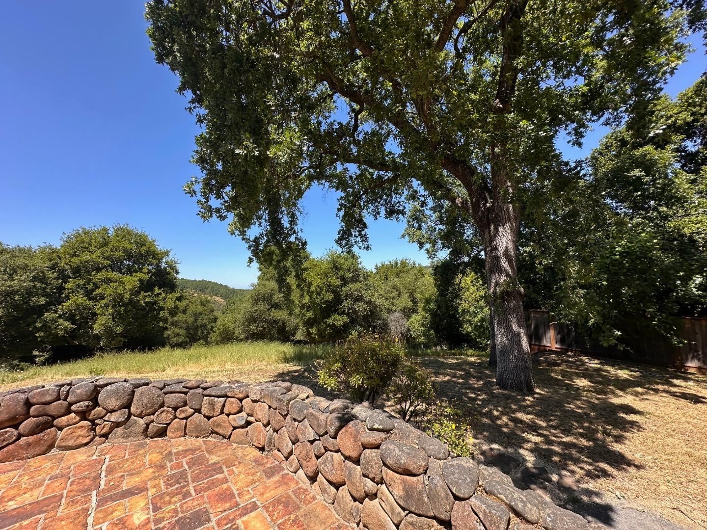 1036 Los Trancos Road Portola Valley, CA 94028 - Photo 27 of 33 a view of a yard with plants and trees
